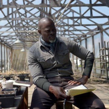 «Wayward Pines» – Ο δεύτερος κύκλος της εξαιρετικής σειράς στην ΕΡΤ1