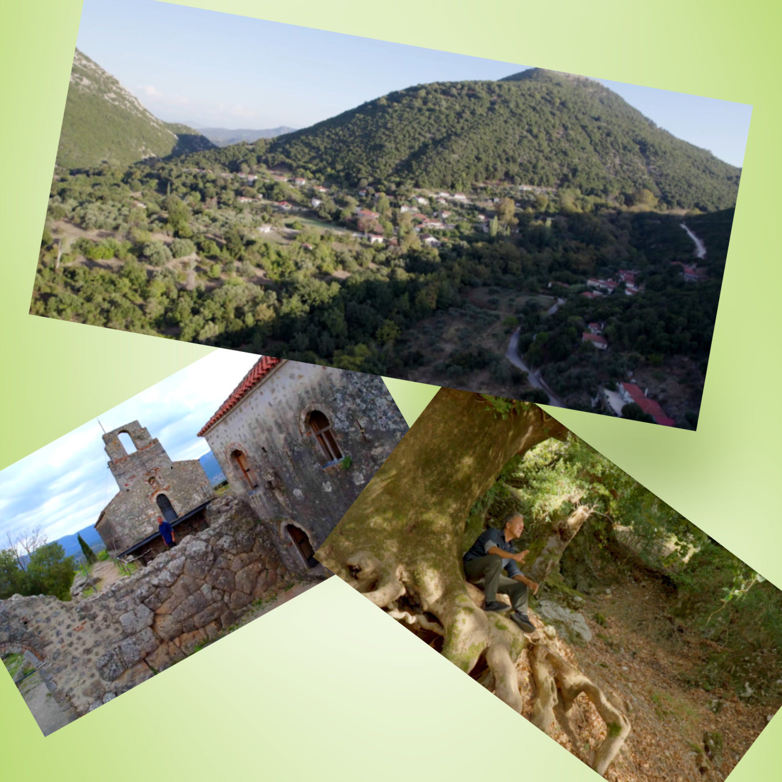 1280 square 28 54735640