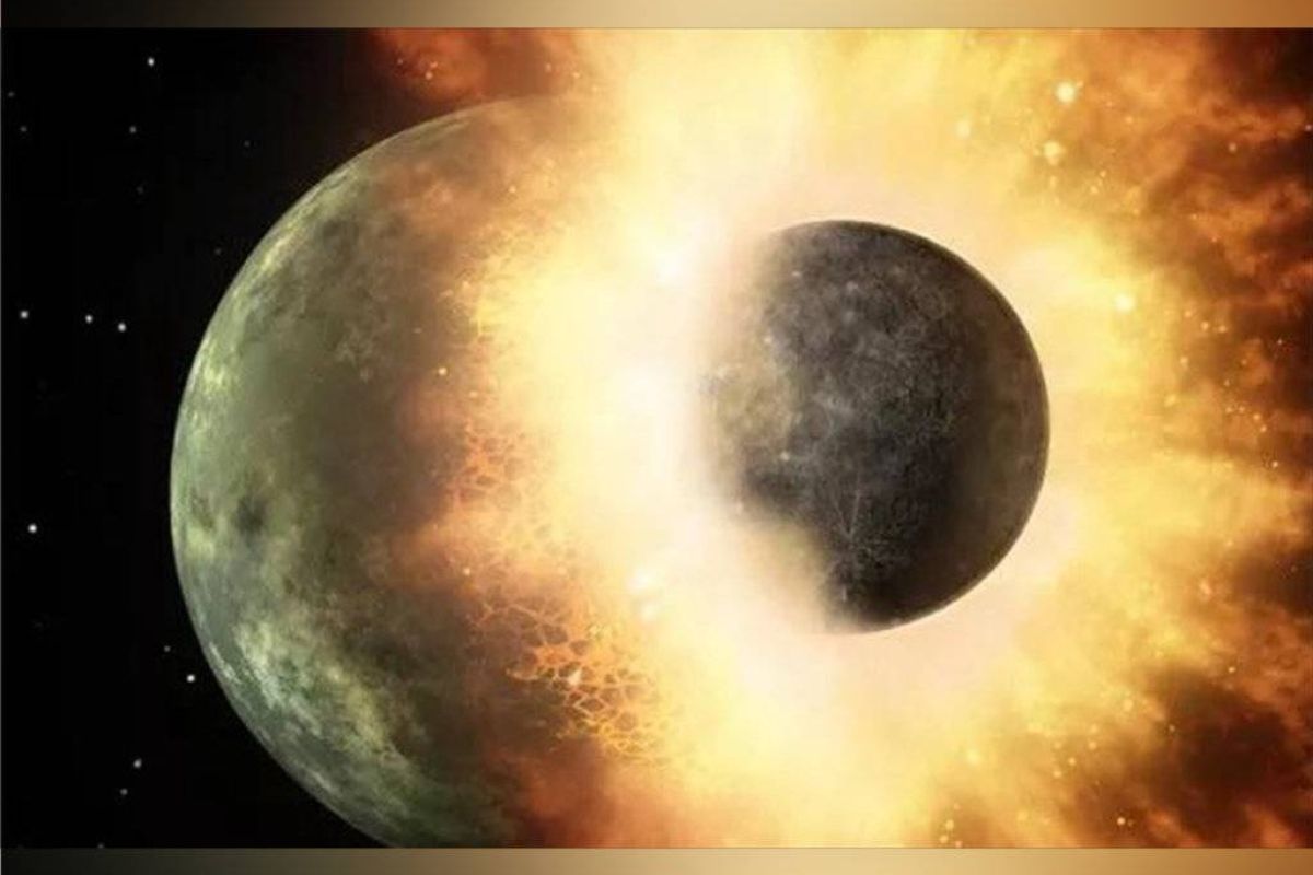 21624f98709244faee889420d128b1e4 XL 5491e044