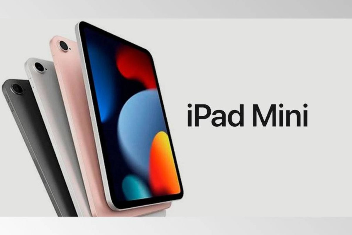 95d7d26160f0ded72dba44b795cec925 XL 54b94da8