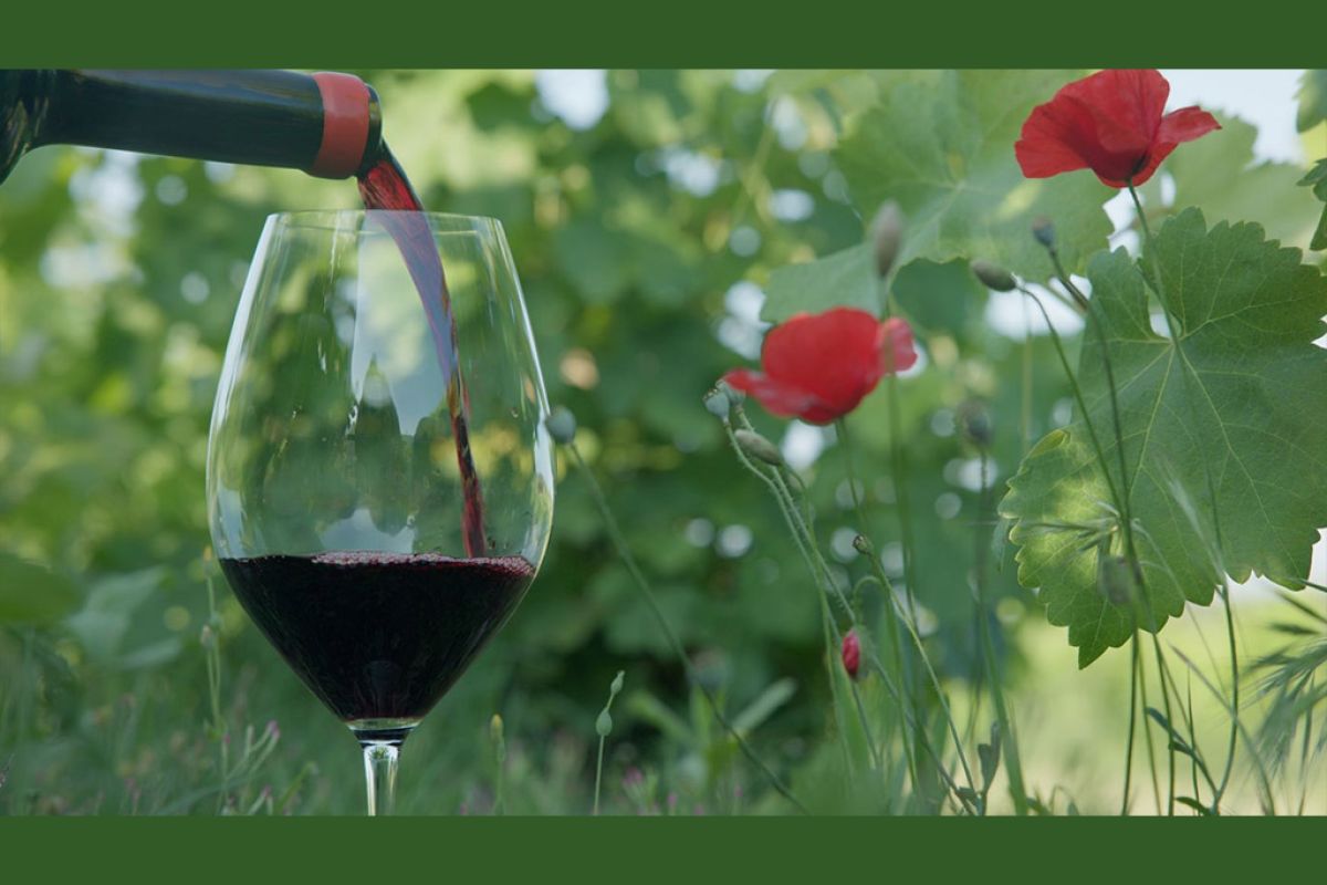 Untitled 1 10 5476f887