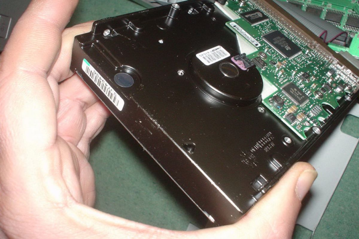 e67669066594495556af774071b785c5 XL 54cb8a34