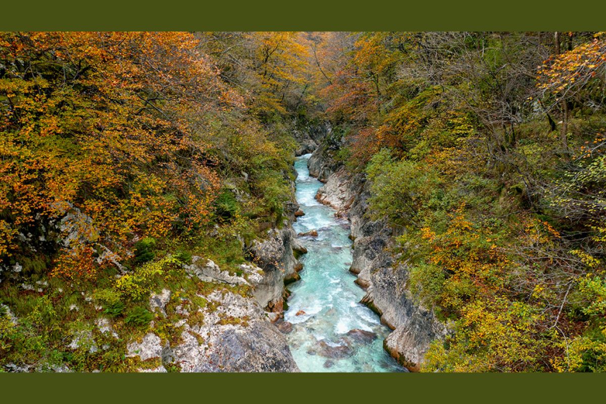 Untitled 1 8 55a0aa5c