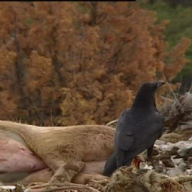 Premium Channel στον Hispasat