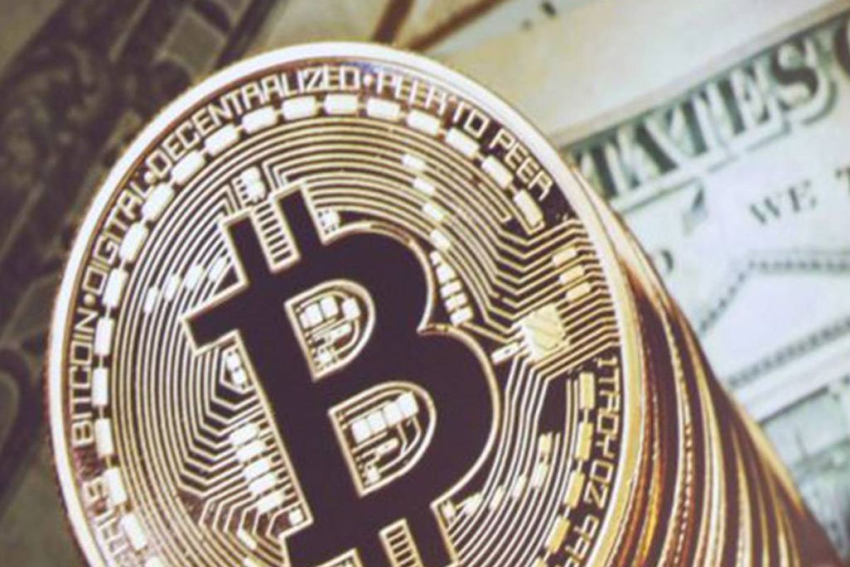 21cb9588a273b8f7bbf12c465bf341b7 XL 56d95b8f