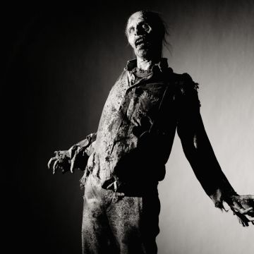 Σήμερα η μεγάλη πρεμιέρα του "Walking Dead 4"