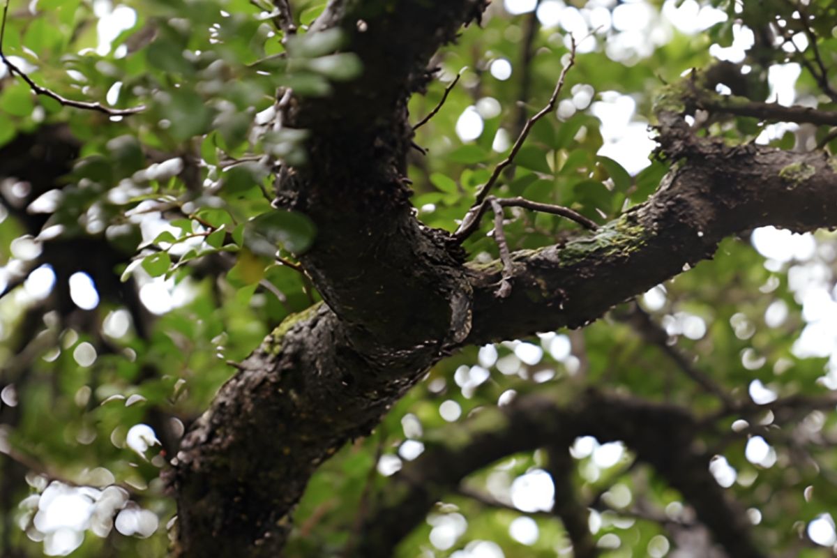 1280 square 56 58648860