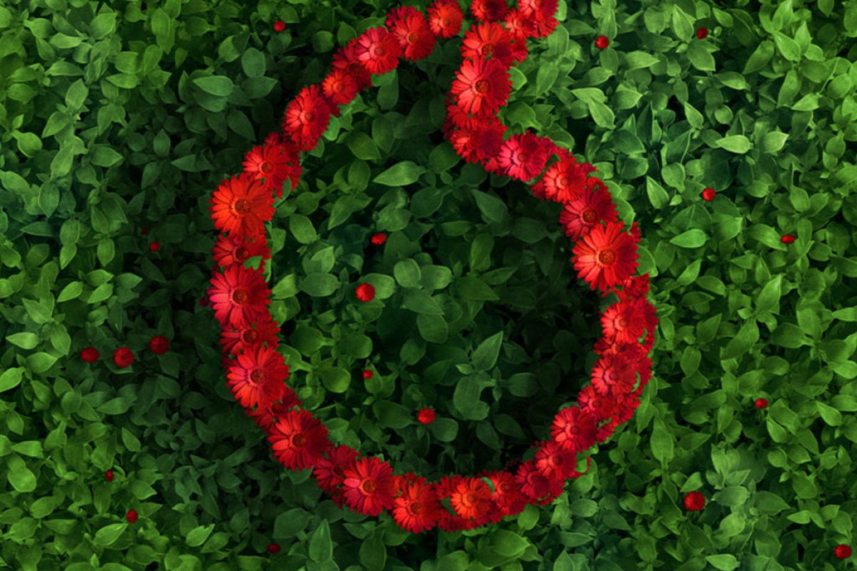 1024X1024 71 59ae2e72