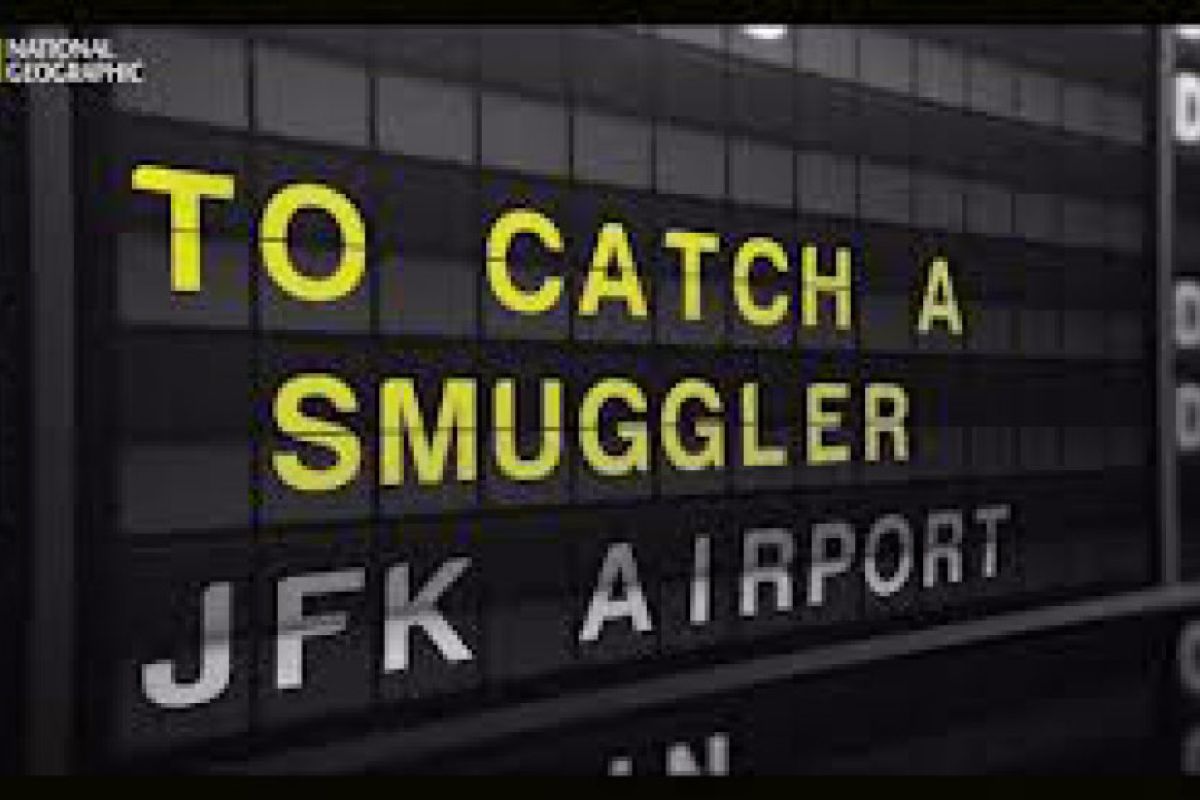 1fb8d2d7c882fbaba1a2c09d1d9cbe68 XL 59975f3f