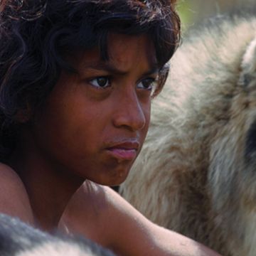 H ZDF μεταδίδει την πρώτη της Ultra HD παραγωγή