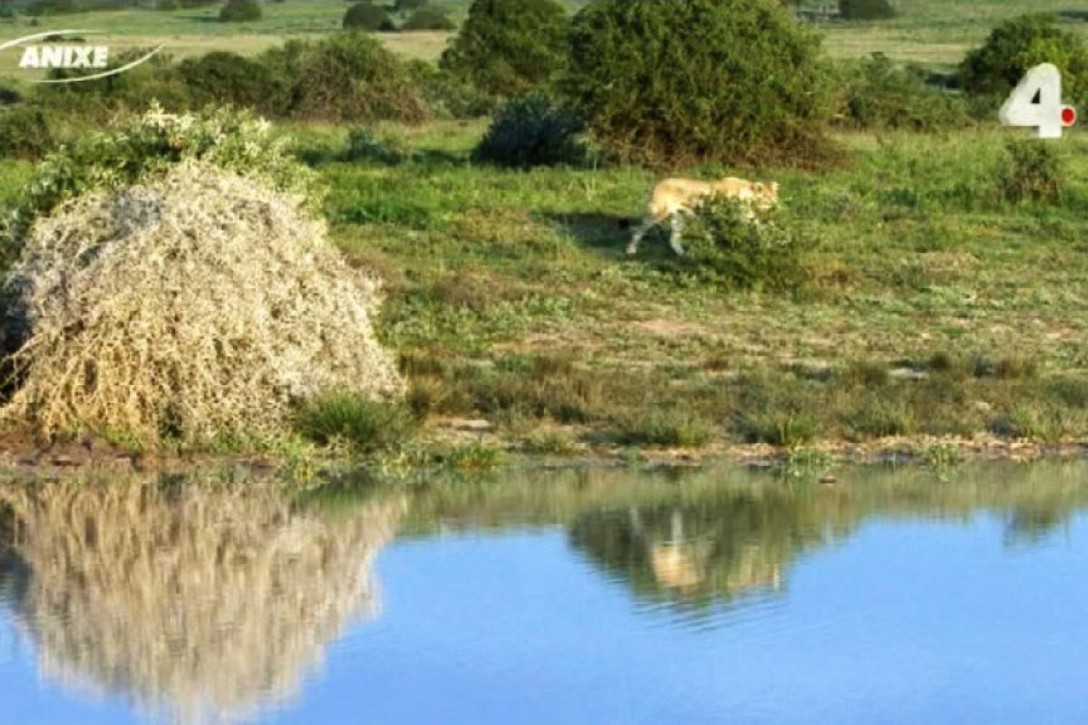 901aa466ce3c2cca35ed2e3fc4b9d793 XL 5cac8e23