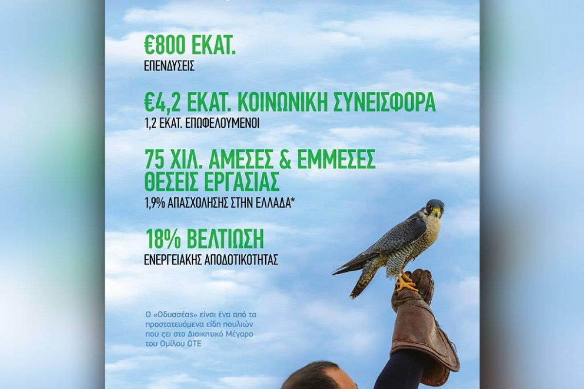 97996344576dd8432acbd2f8c6caf509 XL 5cc70eb3