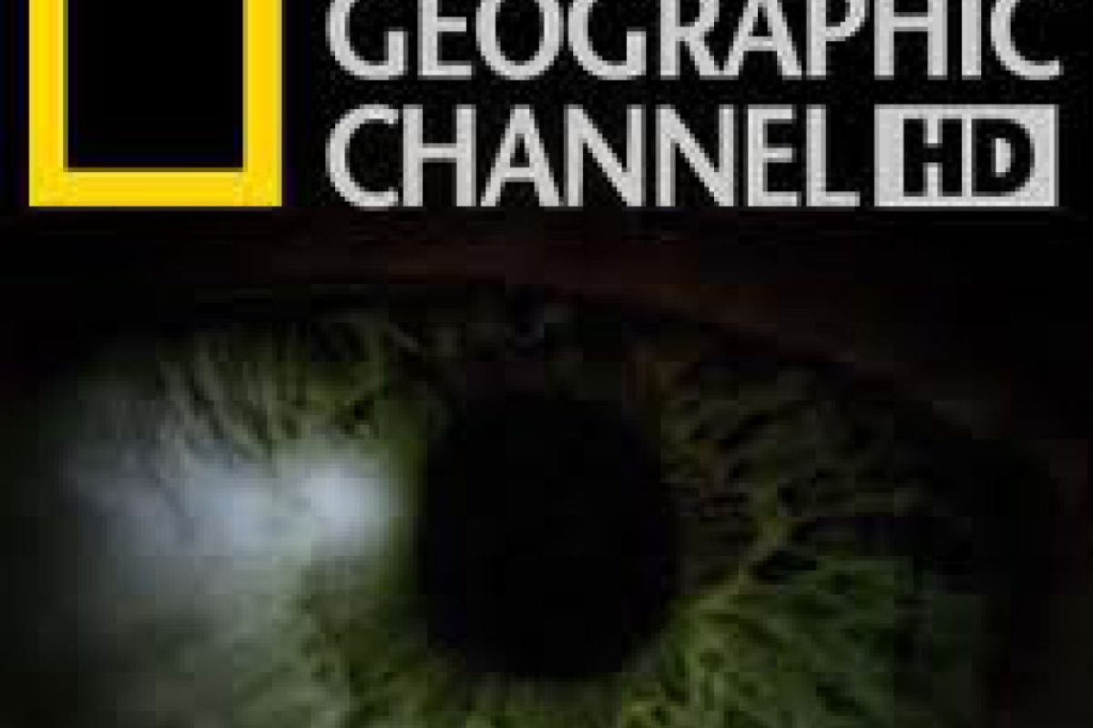 9f5a6903e16b35641a379d9db424a6d6 XL 5ca32431