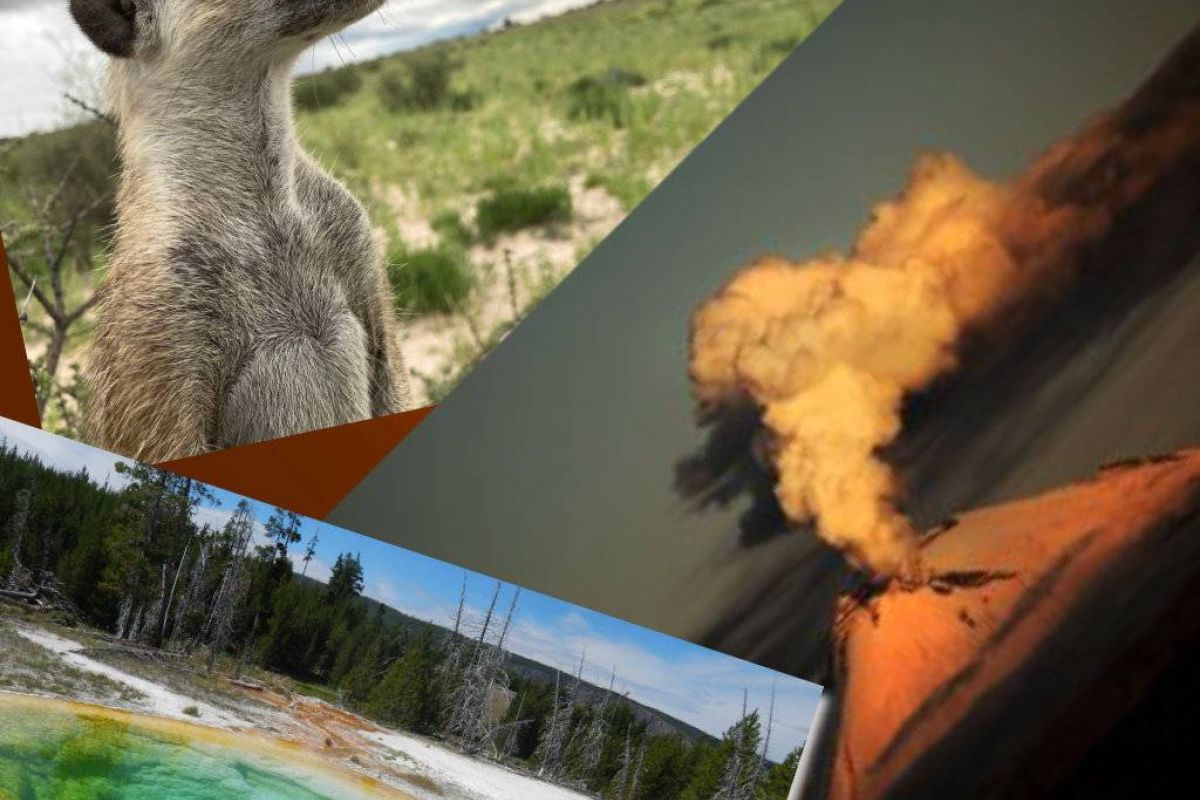 d473d690fd2c6a273e8fa1b13bcd5dfb XL 5c7f888f