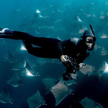 Καταδύσεις στα βαθιά: Βόρεια Αμερική — Η Lizzie Daly επιστρέφει για να εξερευνήσει τις άγριες θάλασσες μιας ηπείρου