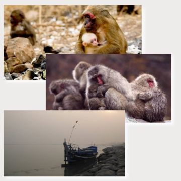 Νοέμβριος στο Viasat Nature: Δαμάζουμε τα άγρια άλογα στον Καναδά