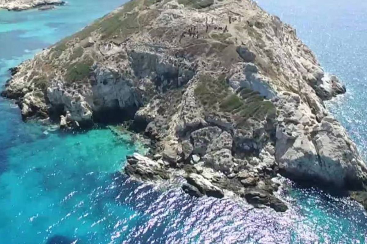 d51100df211319e492c243f6756206ea XL 5dae95fc