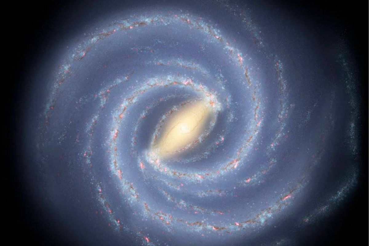 608d78b6c0bce65543ef2bcfdd4d9bd6 XL 5fc62a5d