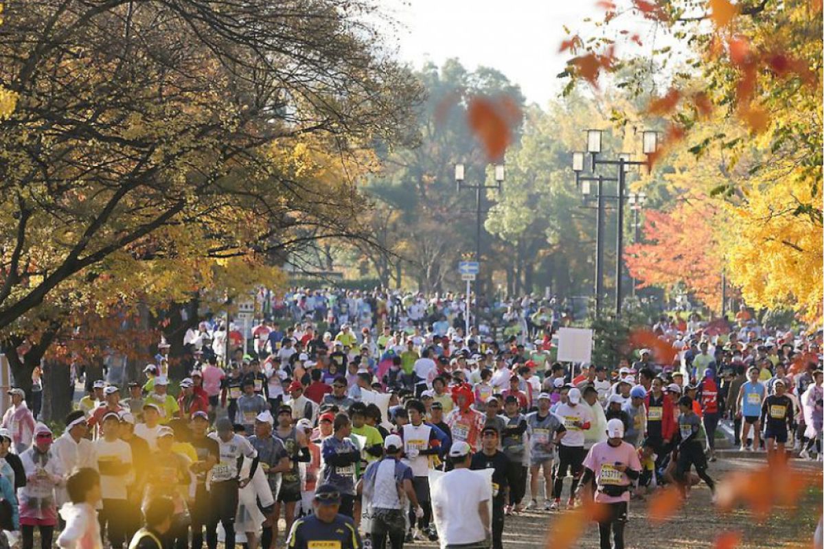 128a0d4297354a88470ab827d35e195a XL 60c64f15