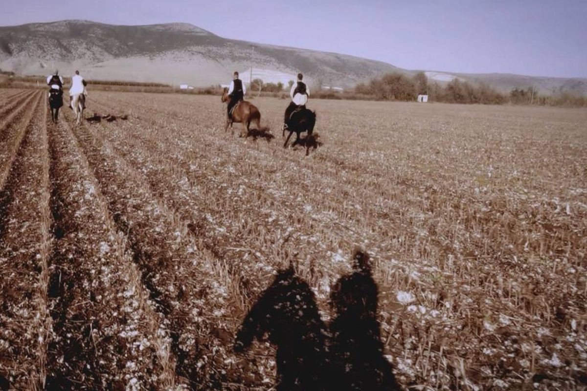 9099feb1ab20c7cd2bf674076639e456 XL 6043e941