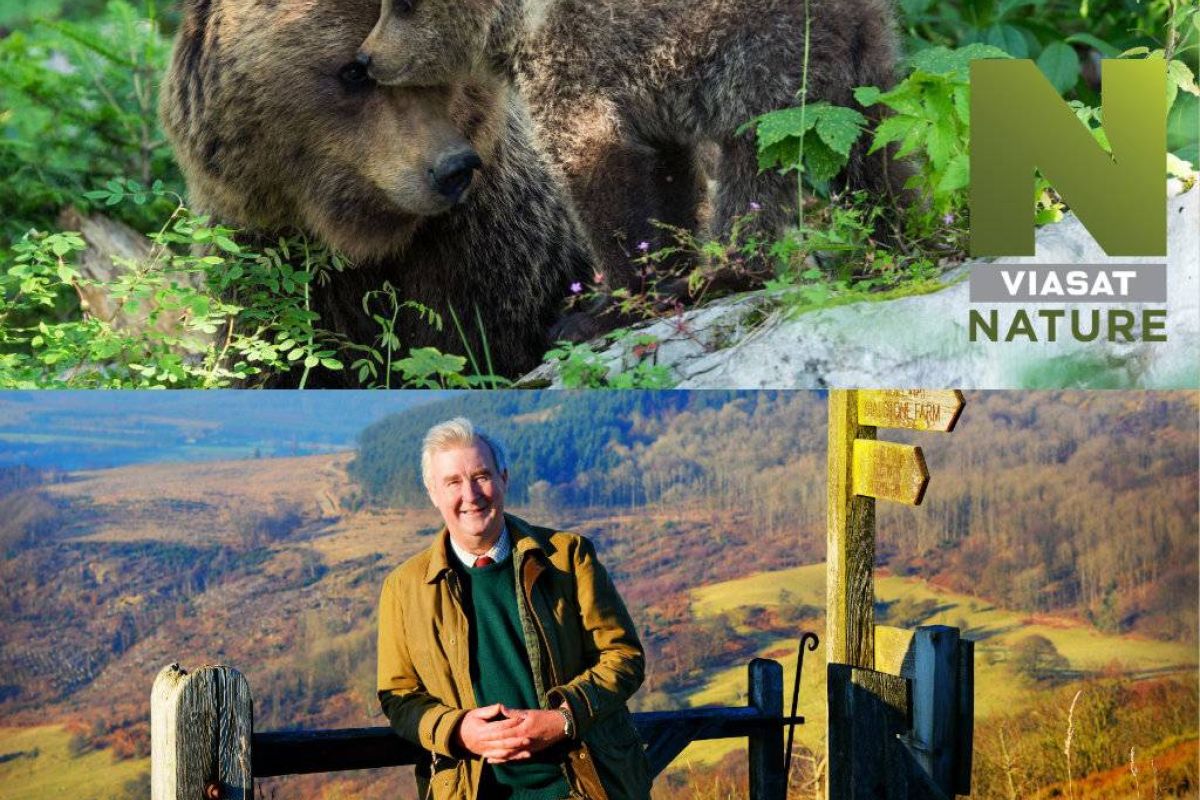 915e546e2967a8ef94d5c3db8386dd87 XL 60b8bb6d