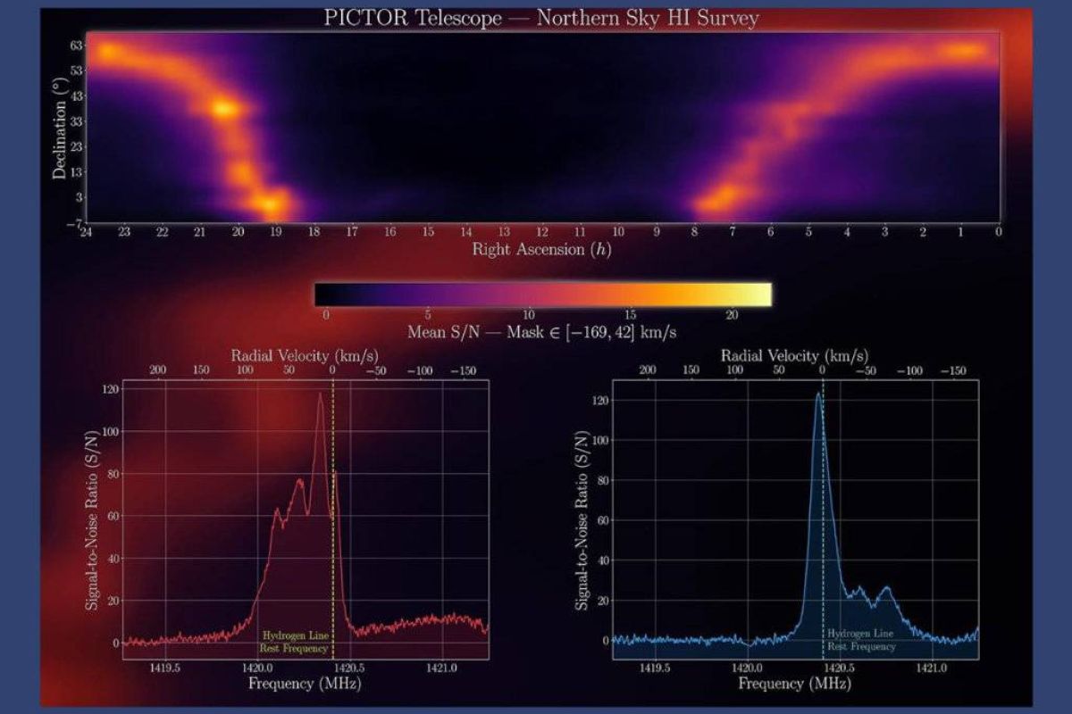 a51a98d464409423d2513fc73724dcf6 XL 609c646b