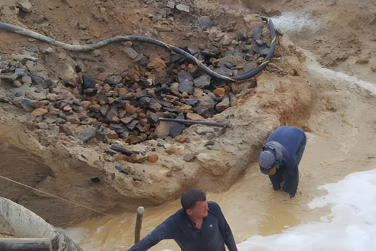 Untitled 1 67 61e6dd60