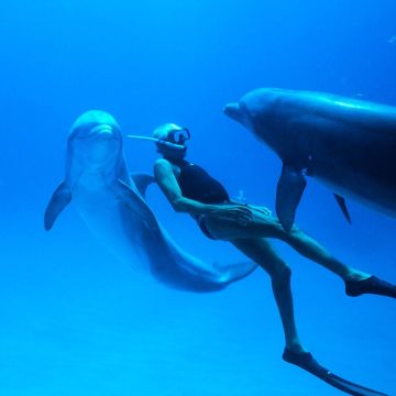 «Dolphin Man» – Ένα ντοκιμαντέρ που κόβει την ανάσα, στην ΕΡΤ1