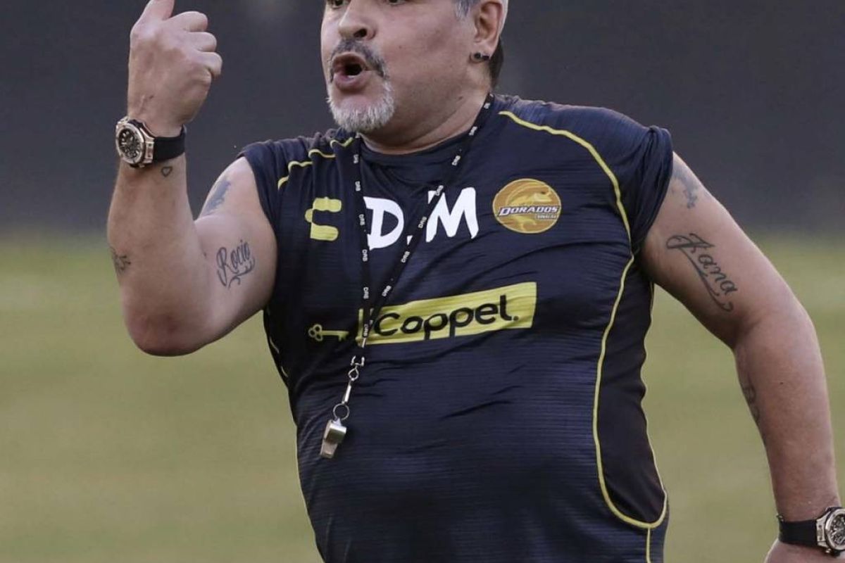 cfd32b117c0101f4b119274fa3e8226f XL 62c352ff