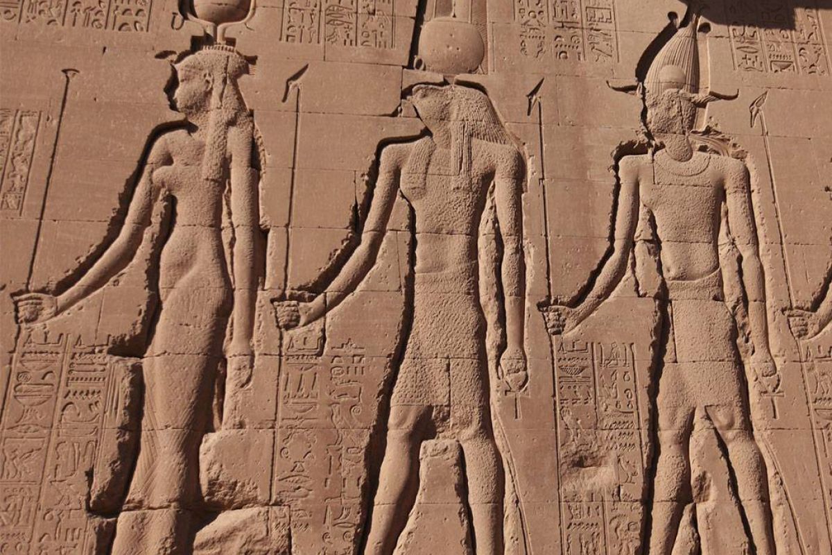 3a977fd881ac9586837c5d8e893944b6 XL 65dae698