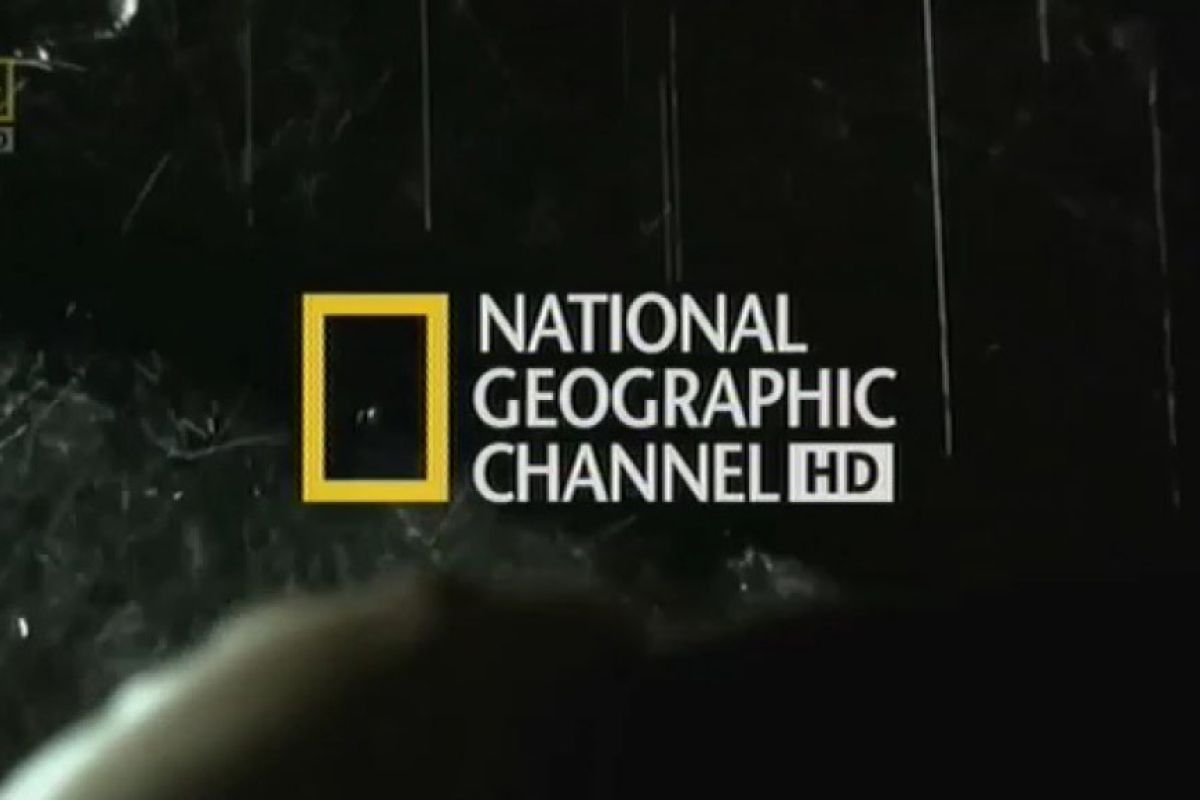 e46bd9aac4488aad42880600c3794993 XL 6501bb37