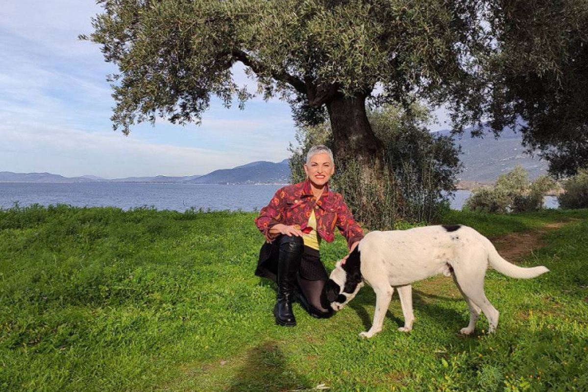 5b70ce5965ce8366e8db6775f13f5f60 XL 66948ef0