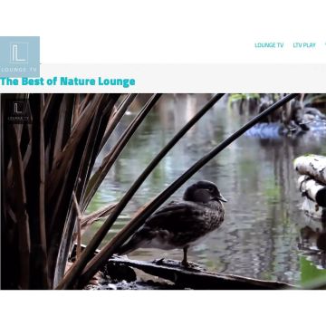 Πρεμιέρα για το πρώτο τσεχικό κανάλι 4Κ