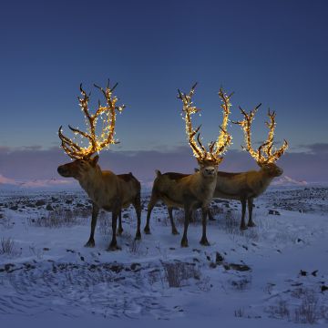 ΤΡΙΤΟ ΠΡΟΓΡΑΜΜΑ: Euroradio Christmas Music Day 2023