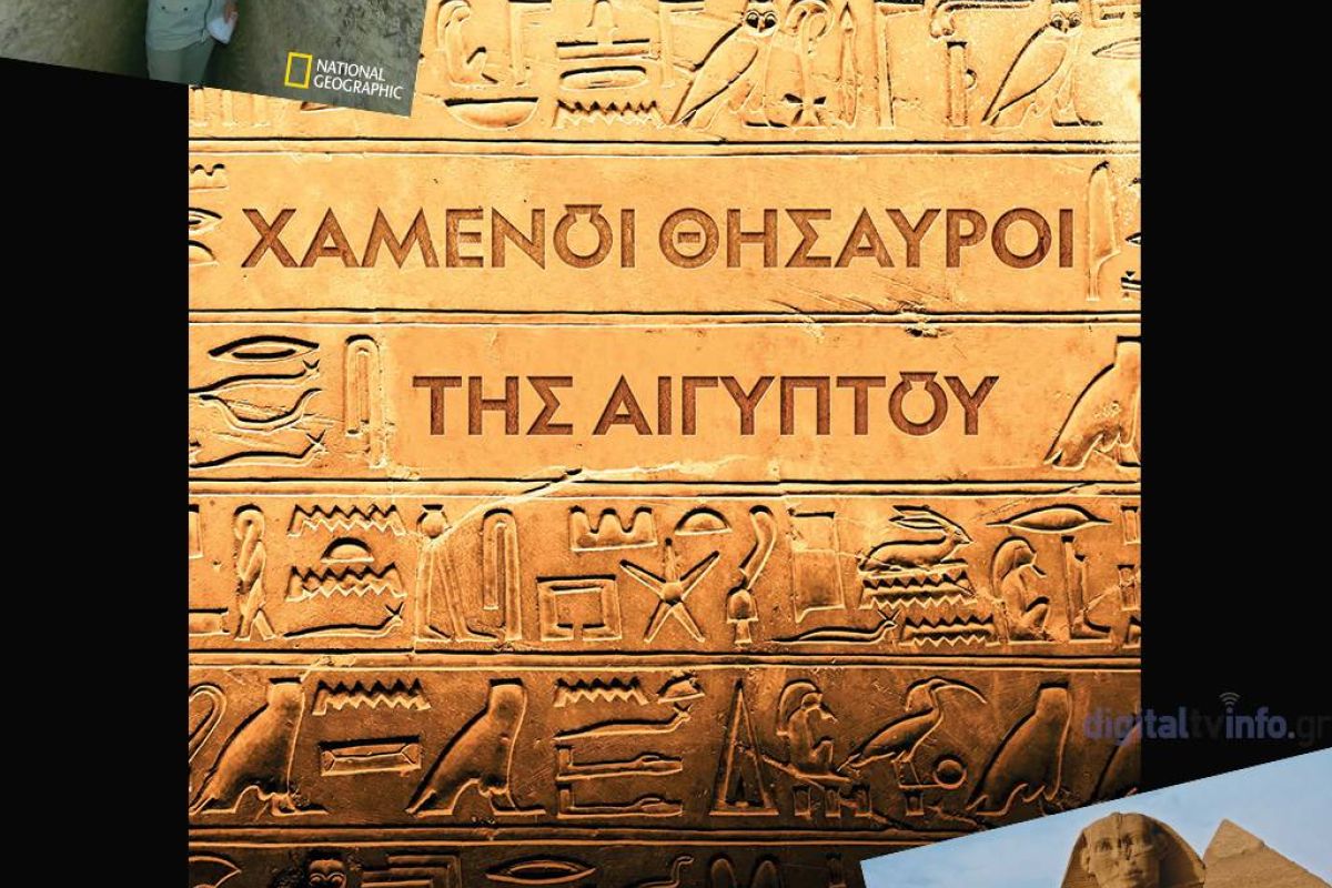 b4ab5c284ea2d85f1a5568dfc860edc4 XL 6602c597