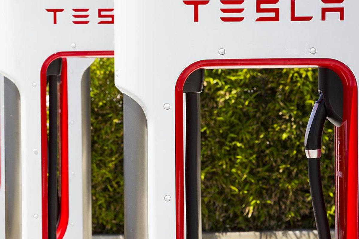 f36e8806ae6a14584fd8f953448d77b6 XL 66a8b948