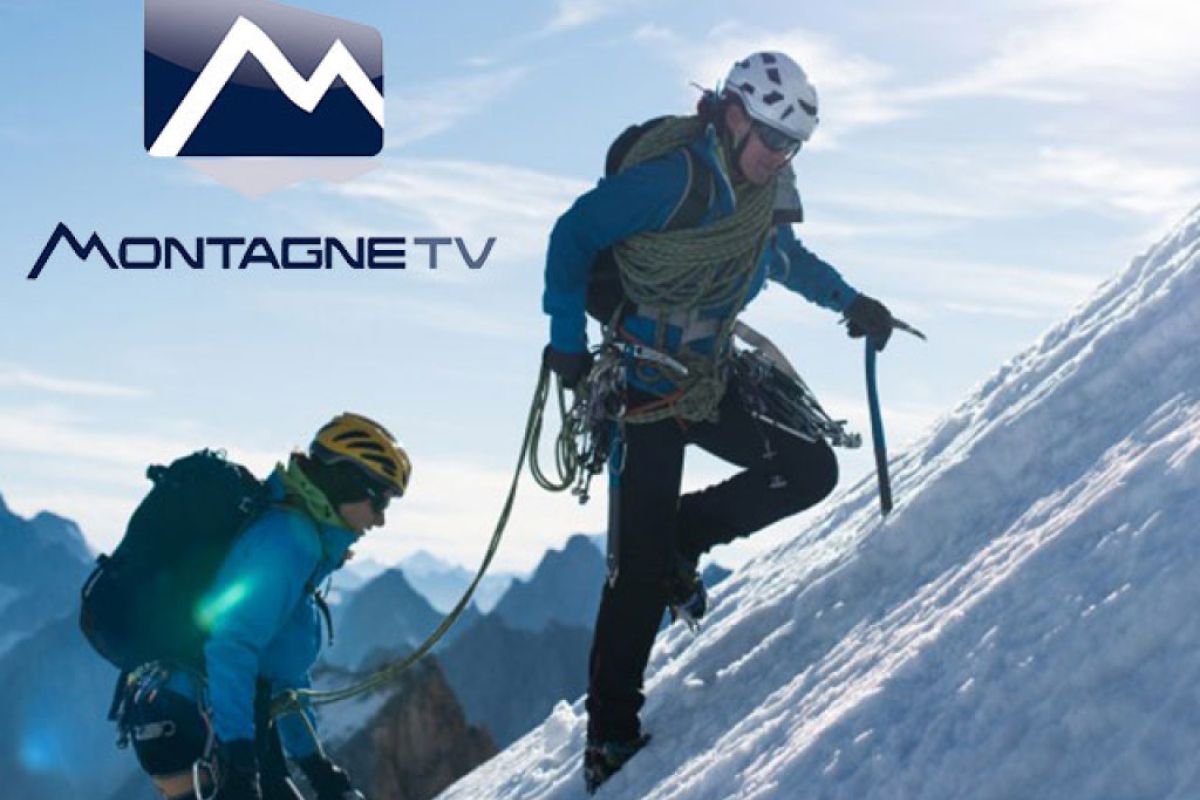 001e8571a34664ea50410def2dd5fbbd XL 67fb6c86