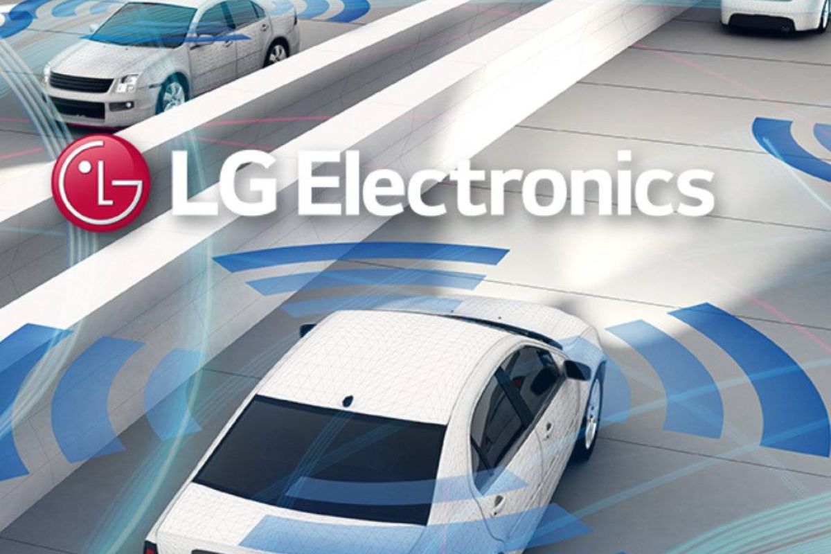 22b378e40cff9839fea3f4960d2cfbc5 XL 6769a5fb