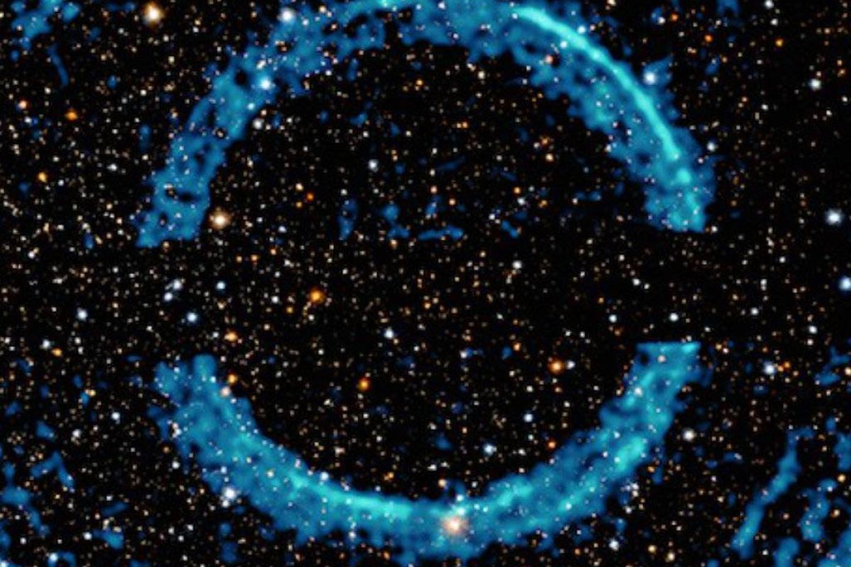 9b6b0299b31f85e39cec610e05c1c0b3 XL 6794f51a