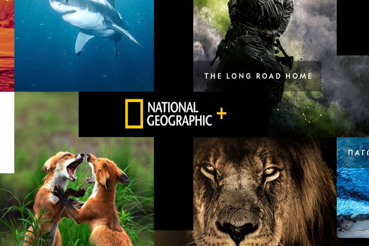 5d12e4fb35a13b7389ff08f60b58da2d XL 6832abd4