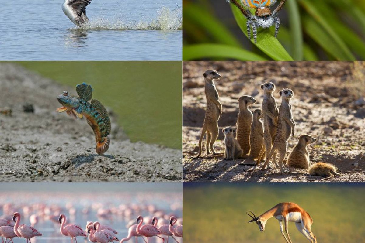 7535575b54fbddaabd0493567a741833 XL 6882d1ce