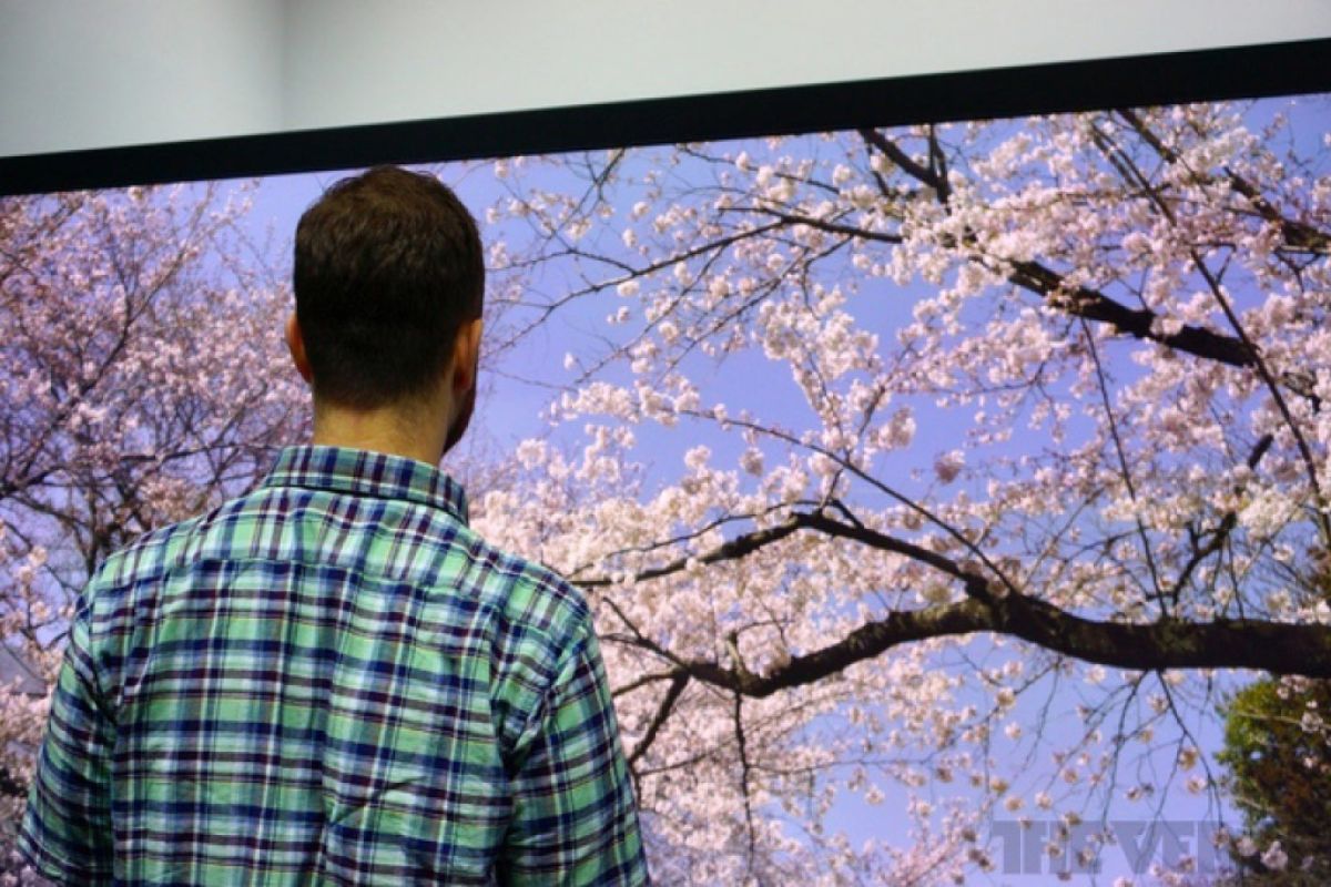 e5979f6514c1887179033c613e3a4b50 XL 68a10fd5