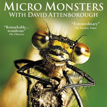 Μικροσκοπικά τέρατα (Micro Monsters) στην ΕΡΤ1