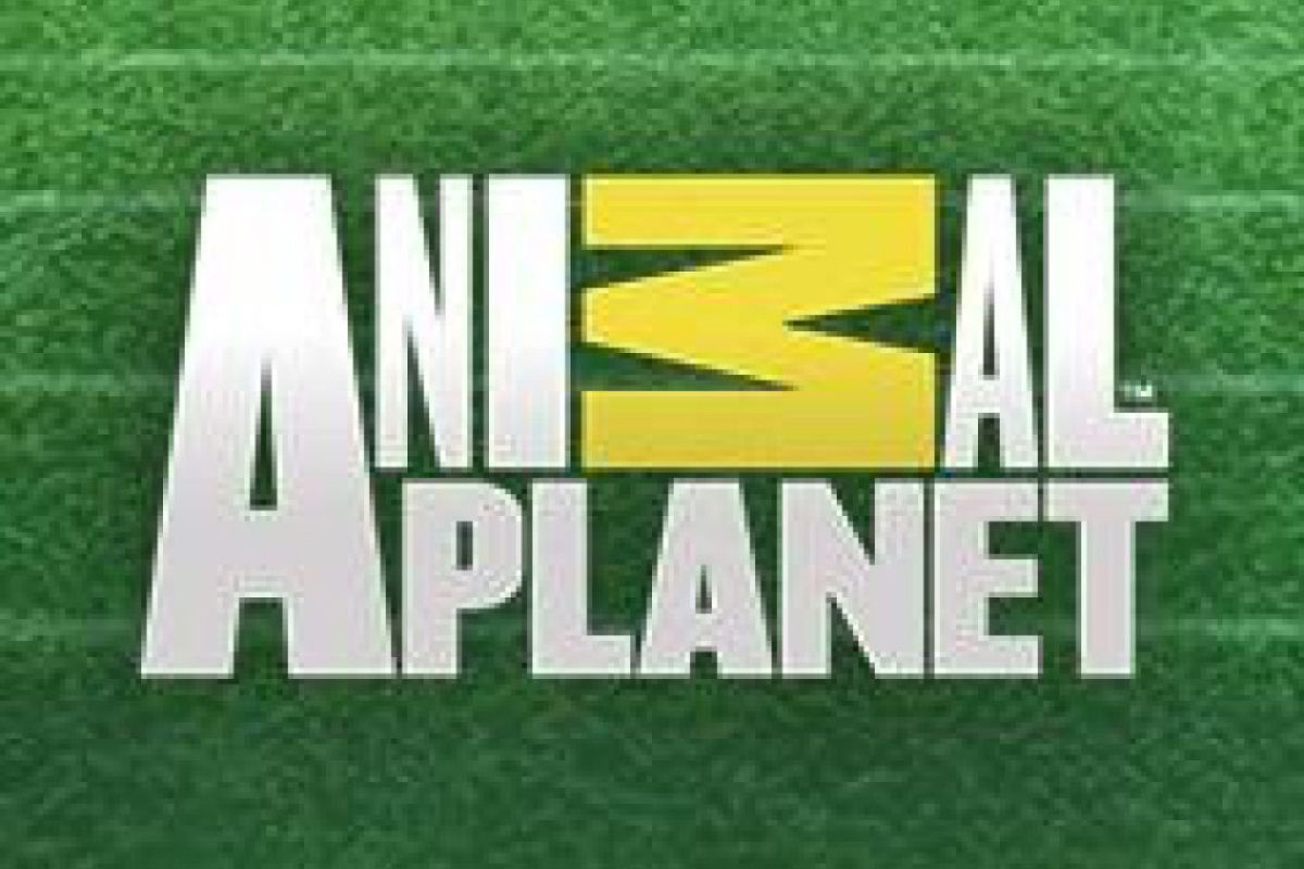 Ενδιαφέρον του OTE TV για νέα κανάλια