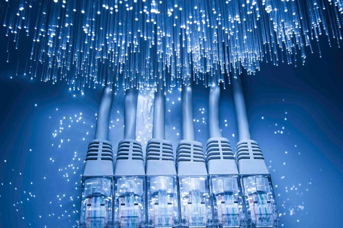 c27a4425522b2796afb8455f452a15ca XL 6a483ec6