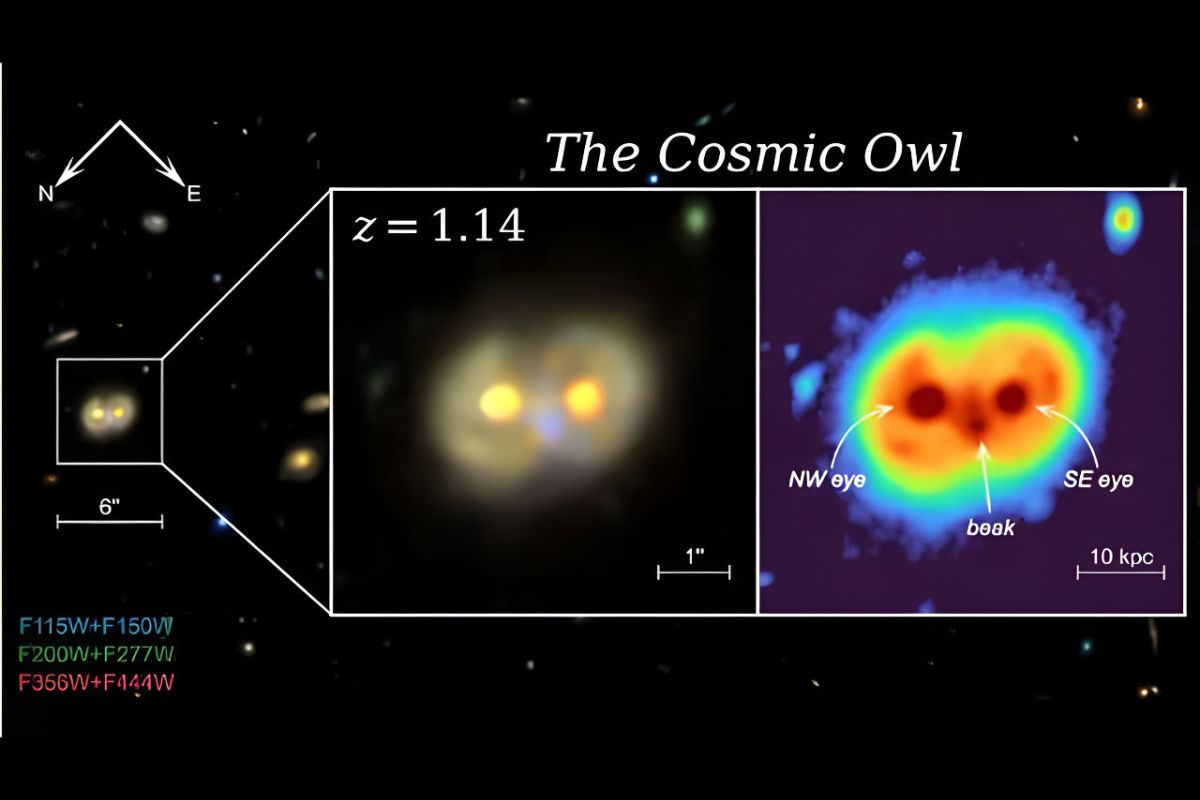 Μια διαστημική “κουκουβάγια” εντόπισε το James Webb