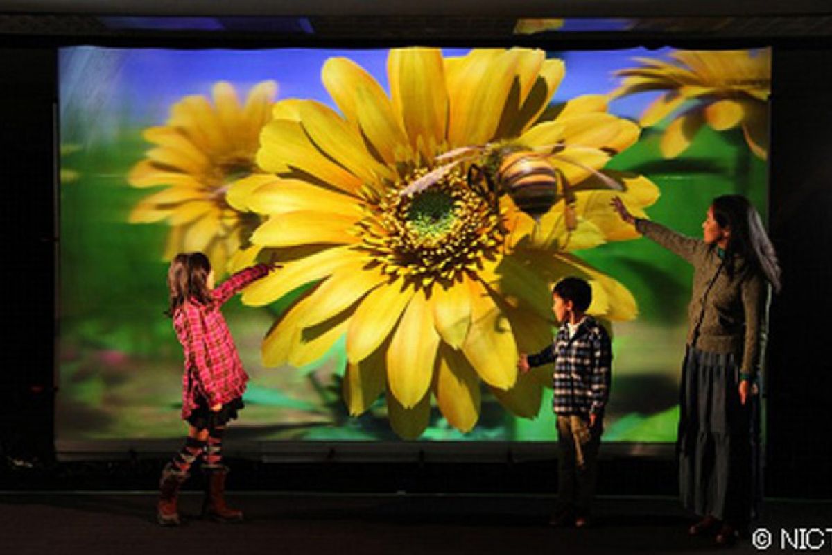 74eb578a1192596fbbb21868b608b05c XL 6c59621a