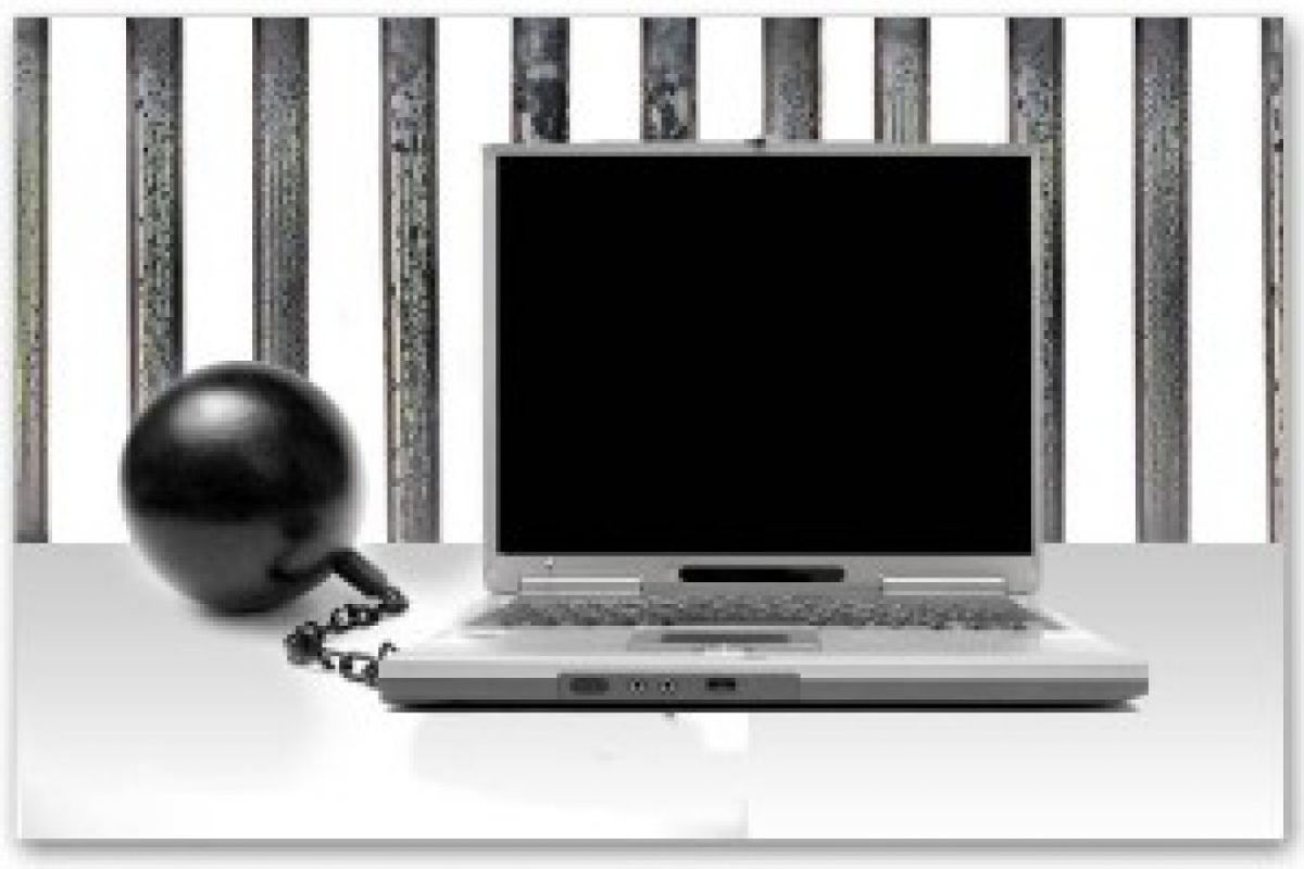 770af84f1d6c7051d186894c23ee8248 XL 6cc3d1b3