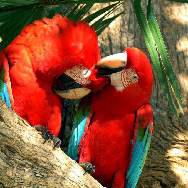 Σεπτέμβριος στο Viasat Nature, highlights