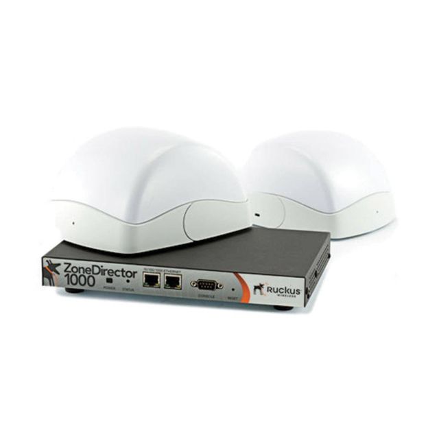 Ruckus ZoneDirector 1100